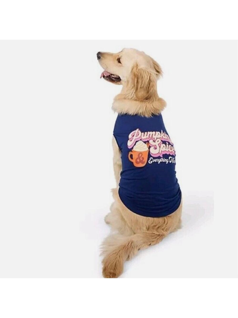 Top Paw Pumpkin Spice Dog Top Tee XL